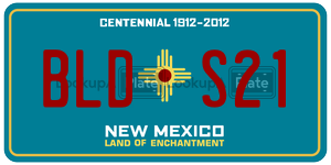 BLDS21  license plate in NM