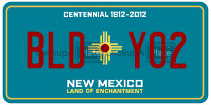 BLDY02  license plate in NM