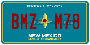 BMZM78  license plate in NM