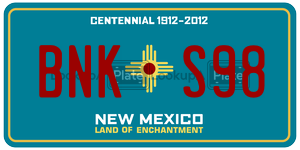 BNKS98  license plate in NM