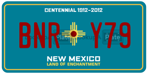 BNRY79  license plate in NM