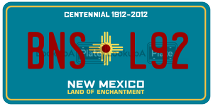 BNSL92  license plate in NM