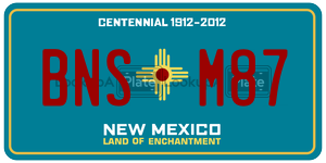 BNSM87  license plate in NM