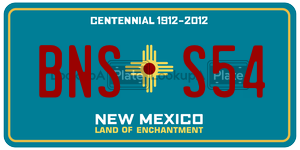 BNSS54  license plate in NM