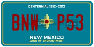 BNWP53  license plate in NM