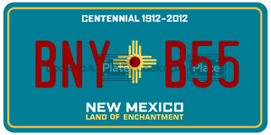 BNYB55  license plate in NM