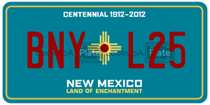 BNYL25  license plate in NM