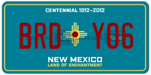 BRDY06  license plate in NM