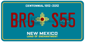 BRGS55 license plate in New Mexico