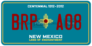 BRPA08  license plate in NM