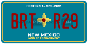 BRTR29  license plate in NM