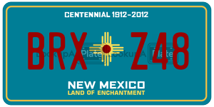 BRXZ48  license plate in NM