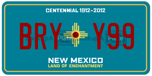 BRYY99  license plate in NM