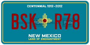 BSKR78  license plate in NM