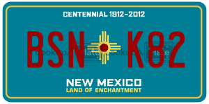 BSNK82  license plate in NM
