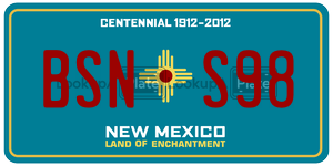 BSNS98  license plate in NM