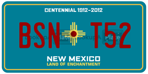 BSNT52  license plate in NM