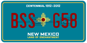 BSSG58  license plate in NM