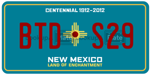 BTDS29  license plate in NM