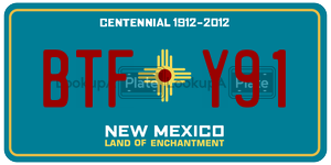 BTFY91  license plate in NM