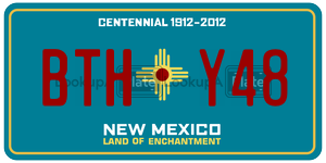 BTHY48  license plate in NM