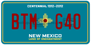 BTMG40  license plate in NM