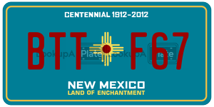 BTTF67  license plate in NM