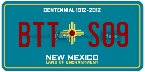 BTTS09  license plate in NM