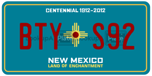 BTYS92  license plate in NM