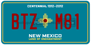 BTZM81  license plate in NM