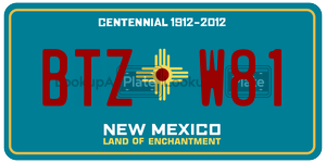 BTZW81  license plate in NM