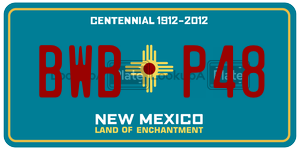 BWBP48  license plate in NM