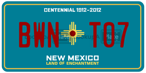 BWNT07  license plate in NM