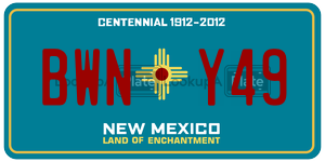 BWNY49  license plate in NM