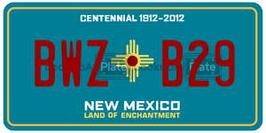BWZB29  license plate in NM