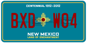 BXDW04  license plate in NM