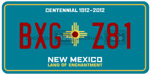BXGZ81  license plate in NM