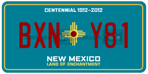 BXNY81  license plate in NM