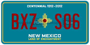 BXZS06  license plate in NM