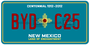 BYDC25  license plate in NM