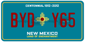 BYDY65  license plate in NM