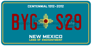 BYGS29  license plate in NM