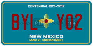 BYLY02  license plate in NM