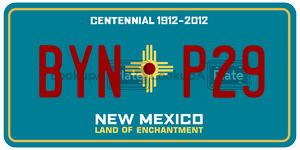 BYNP29  license plate in NM