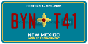 BYNT41  license plate in NM