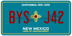 BYSJ42  license plate in NM
