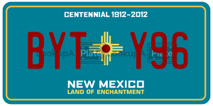 BYTY96  license plate in NM