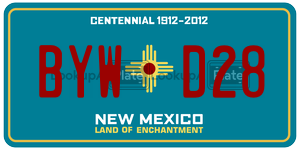BYWD28  license plate in NM