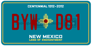 BYWD81  license plate in NM