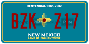 BZKZ17  license plate in NM